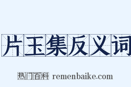 片玉集反义词是什么意思的图片
